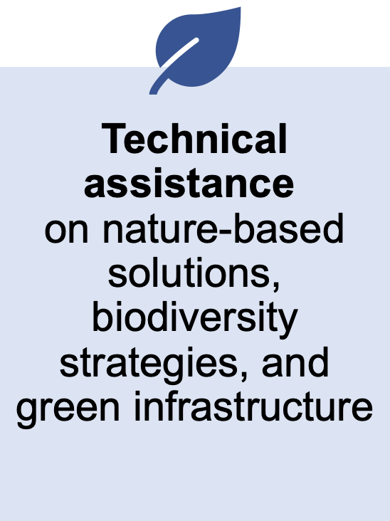 Technical Assistance
