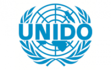 United Nations Industrial Development Organization